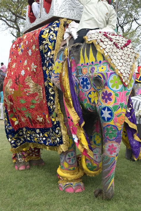 印度大象意義